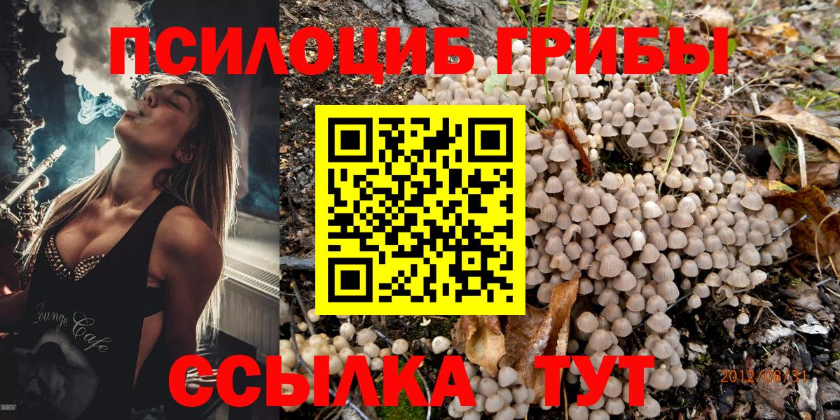 Галлюциногенные грибы GOLDEN TEACHER Качканар