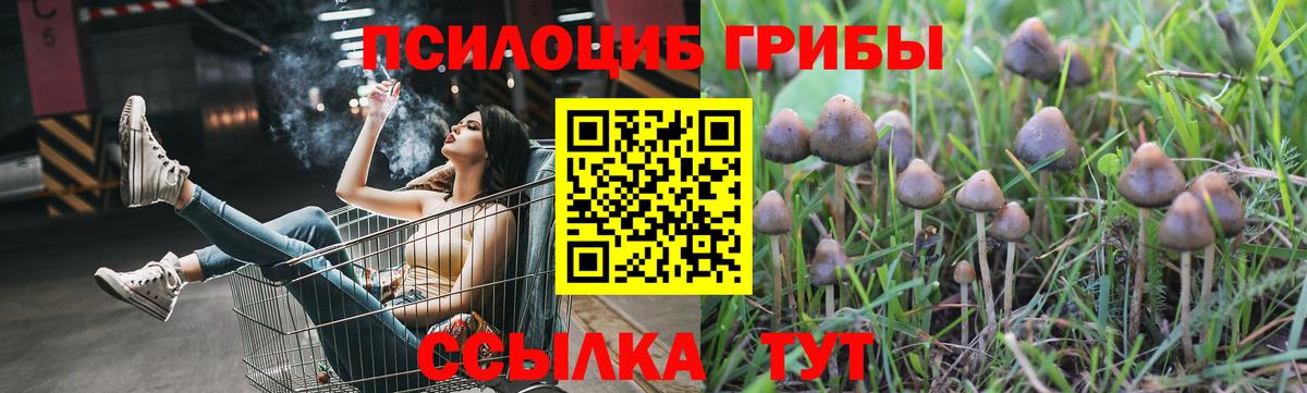 Качканар  Галлюциногенные грибы мицелий  Вход с VPN 